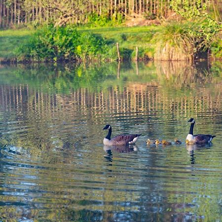 Beautiful Willow Lodge 67-4-6 Persons-Private Hot Tub-Pet Friendly-Tranquil Holiday Away From It All Yet Not Far To St Austell-The Holiday Home Has Two Bedrooms, Living & Dining Area, Equipped Kitchen -Decking-Al Fresco Dining-Fishing Lakes-Pet Frien Grampound Exteriör bild