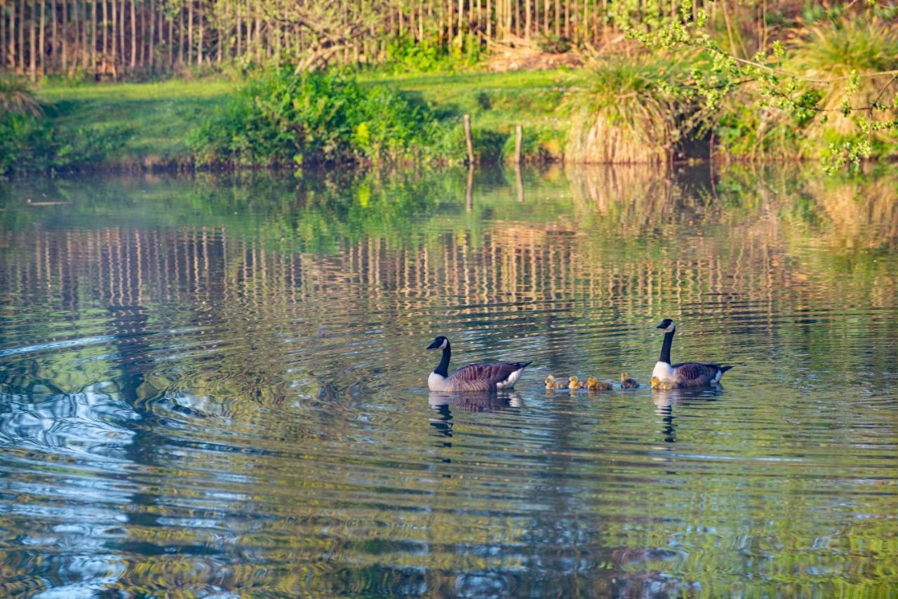 Beautiful Willow Lodge 67-4-6 Persons-Private Hot Tub-Pet Friendly-Tranquil Holiday Away From It All Yet Not Far To St Austell-The Holiday Home Has Two Bedrooms, Living & Dining Area, Equipped Kitchen -Decking-Al Fresco Dining-Fishing Lakes-Pet Frien Grampound Exteriör bild