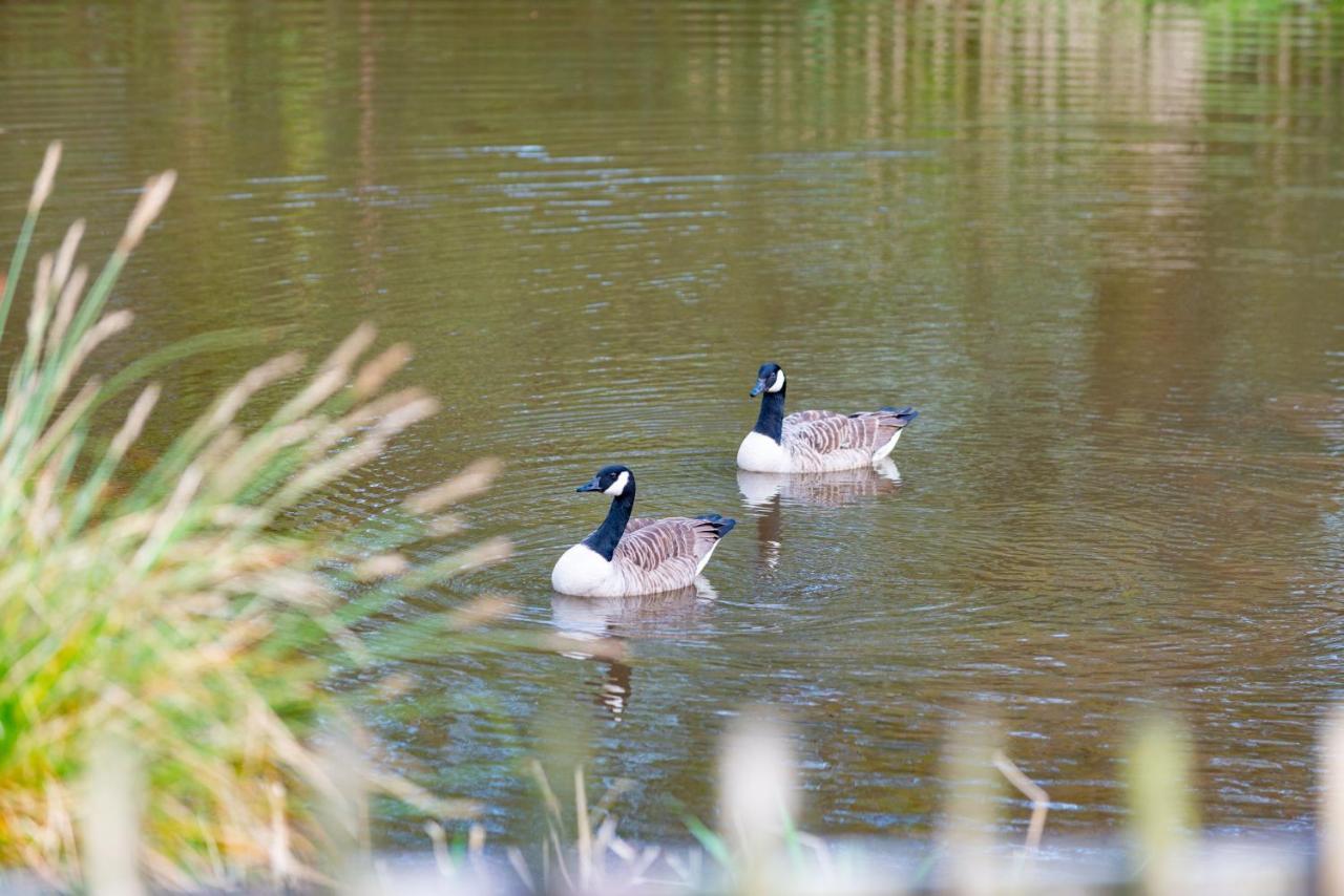 Beautiful Willow Lodge 67-4-6 Persons-Private Hot Tub-Pet Friendly-Tranquil Holiday Away From It All Yet Not Far To St Austell-The Holiday Home Has Two Bedrooms, Living & Dining Area, Equipped Kitchen -Decking-Al Fresco Dining-Fishing Lakes-Pet Frien Grampound Exteriör bild